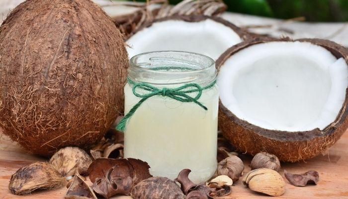 Global coconut trade: Top exporters and key markets shaping the industry