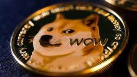 doge coin (1)