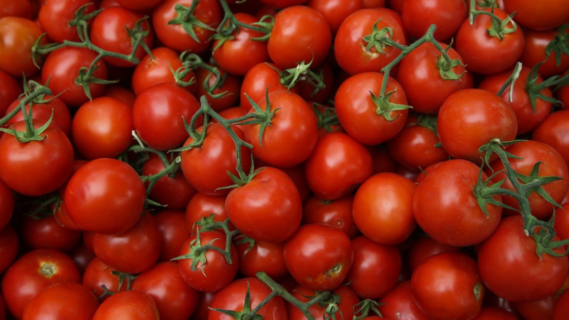 FG empowers 500 tomatoes farmers with seeds in Edo