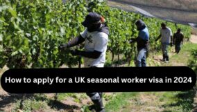 Here’s how to apply in 2024 for a UK seasonal worker visa