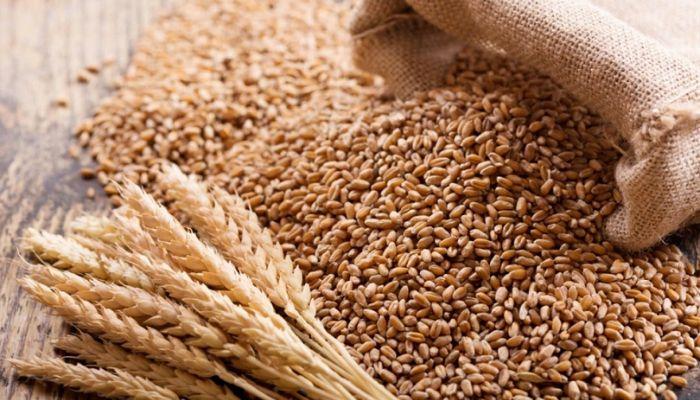 FG supports 2,000 farmers to boost wheat production in Niger