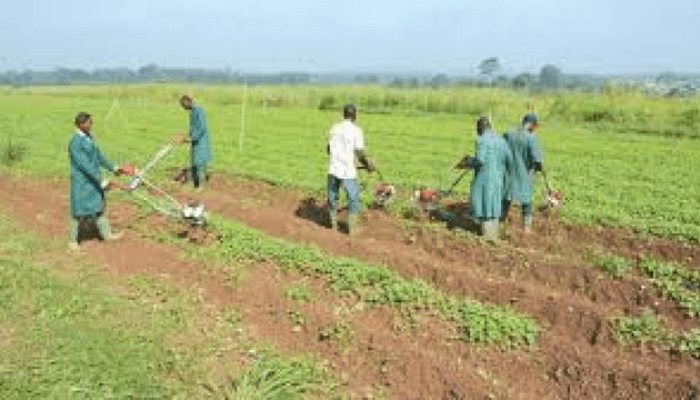 Benue farmer to expand agribusiness after winning N5 million jackpot