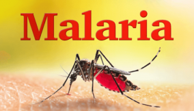 Akwa Ibom records drop in malaria prevalence from 75% to 42%