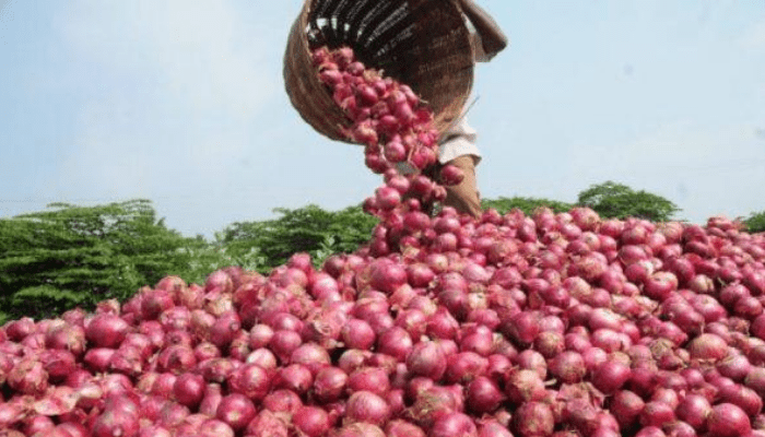 Onion farmers link price hike, scarcity to flood, climate change